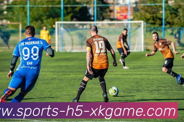 多媒体互动体验