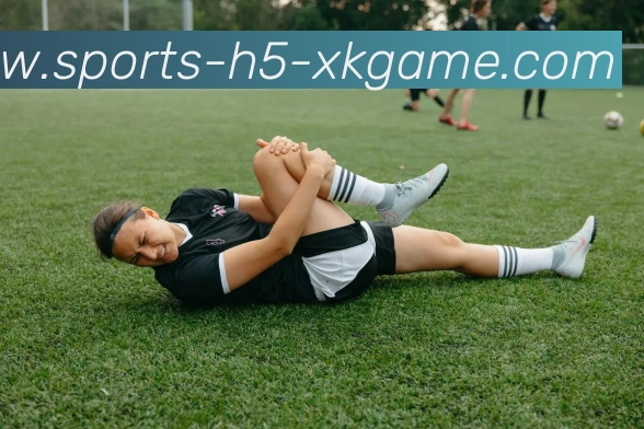 星空体育APP 体育赛事宣传图